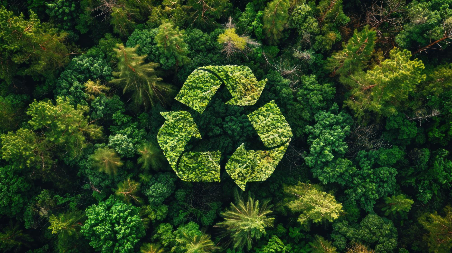 jaiki-manconser-construcciones-reformas-calidad-1